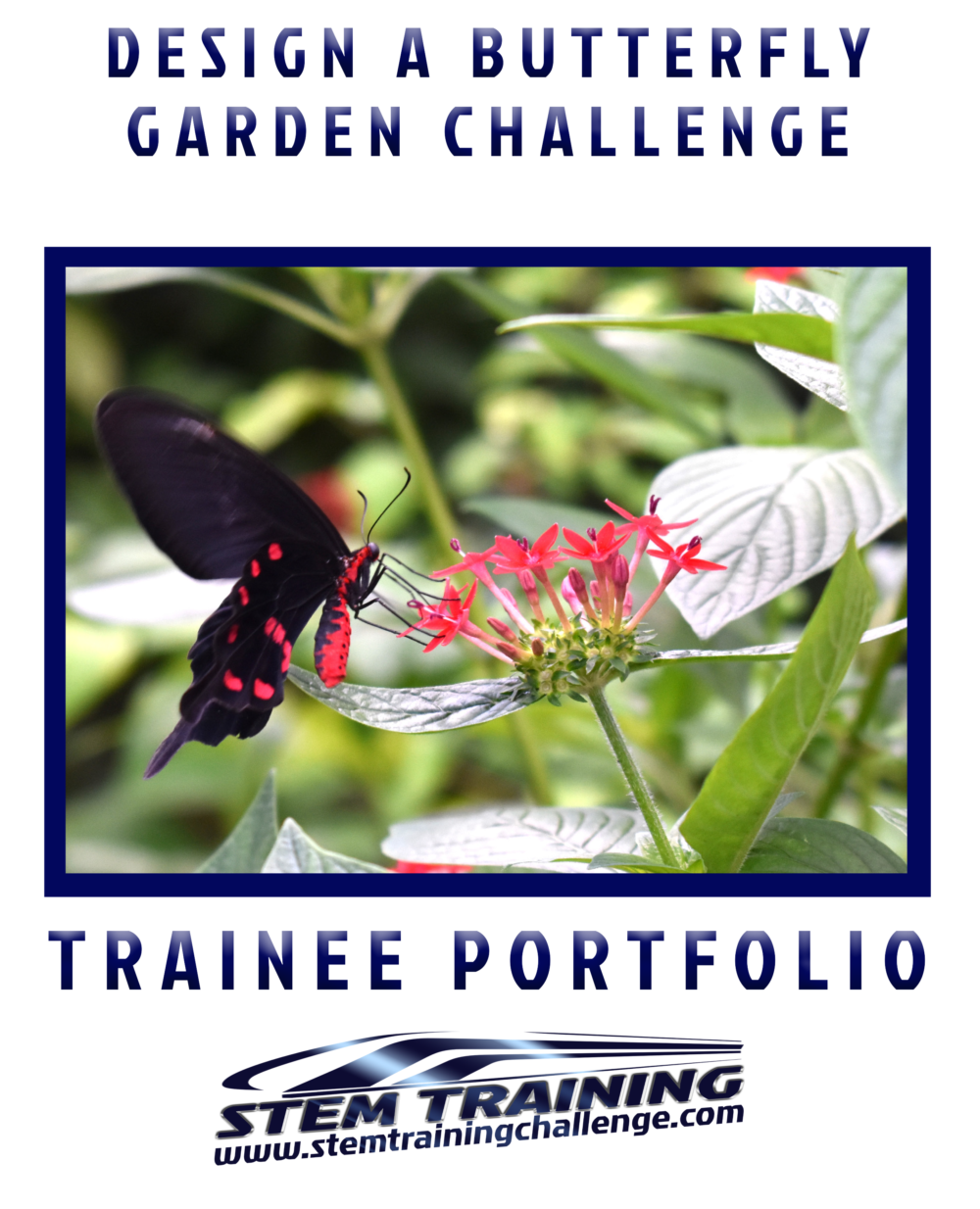 Cover of design a butterfly garden challenge portfolio