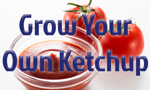 Grow Your Own Ketchup Challenge