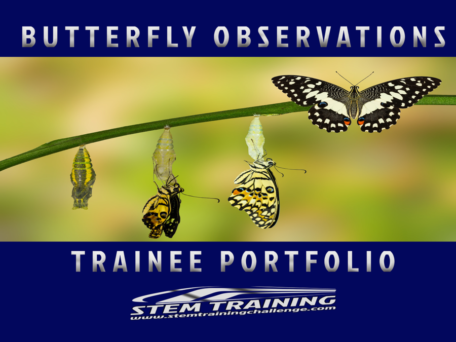 Butterfly Observation Challenge Trainee Portfolio PDF