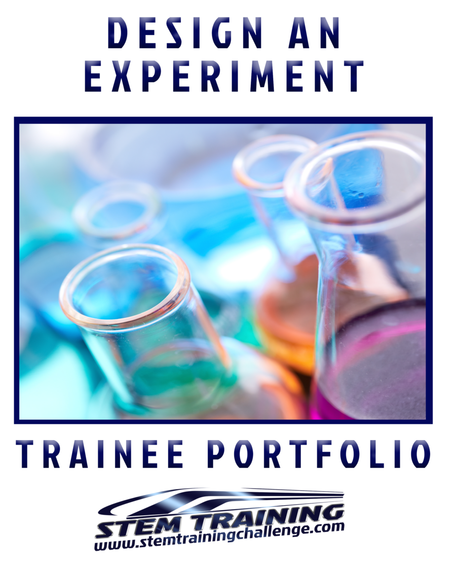 Design an Experiment Portfolio PDF